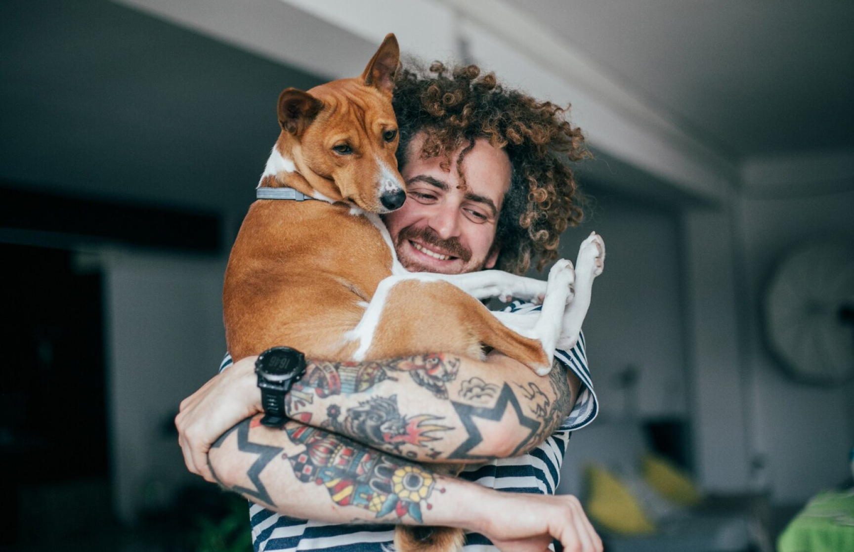 destinos pet friendly2